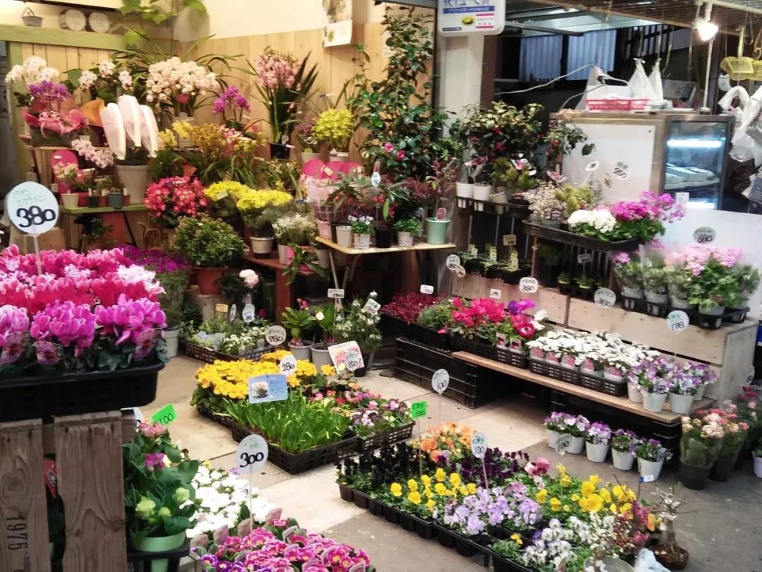 日本花店创业,日本花店的经营模式
