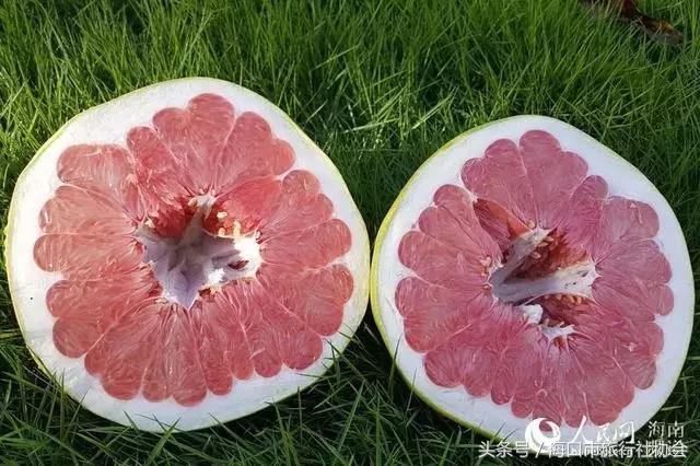 这个季节不能错过的柑橘,这个季节不可错过的水果枇杷