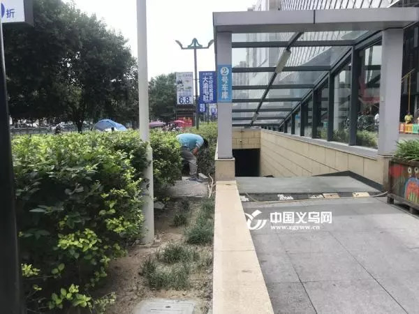 义乌最大的水上乐园是哪个,义乌建设最大水上乐园