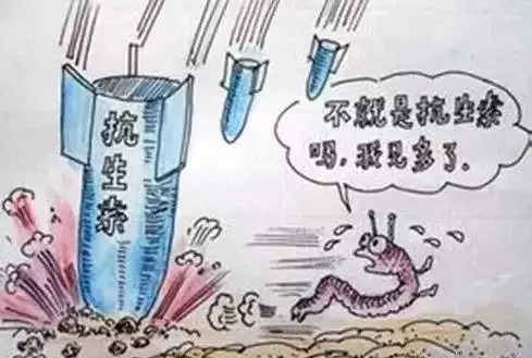 养鱼虾用药大全及使用方法,养鱼虾会遇到哪些问题