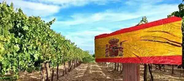 西班牙粉牛葡萄酒评测,西班牙葡萄酒特点