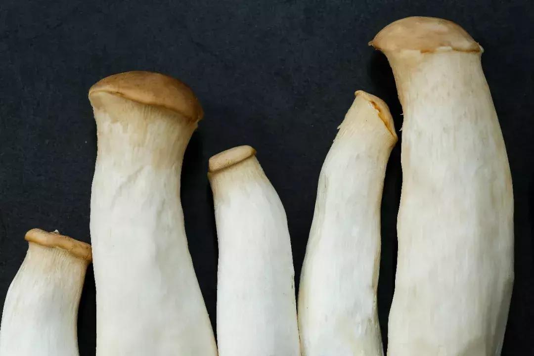 蘑菇怎么那么多啊,蘑菇要怎样吃才知道没有毒