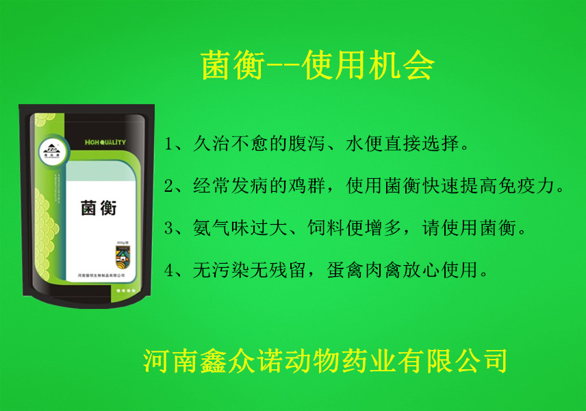 野生鸽子可以人工养吗,人工饲养鸽子该怎样灌喂
