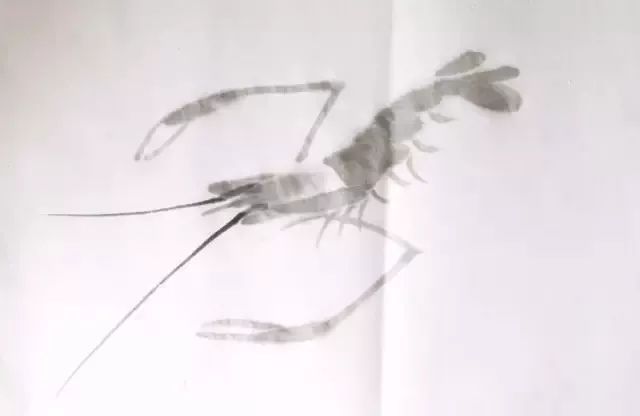简单方法画虾,怎样画虾教学视频