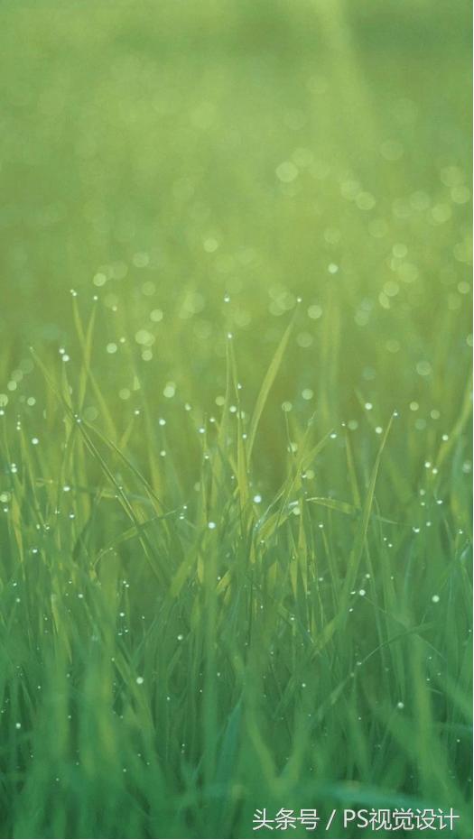 苹果官方最新发布的高清壁纸图文,iphone各系列经典壁纸