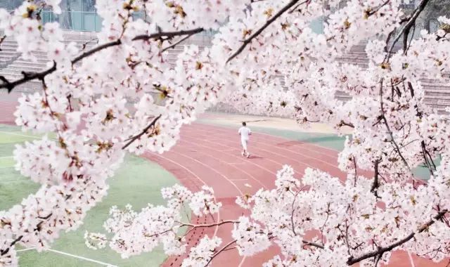 原来你是这样的海军陆战队,原来你是这样的英文