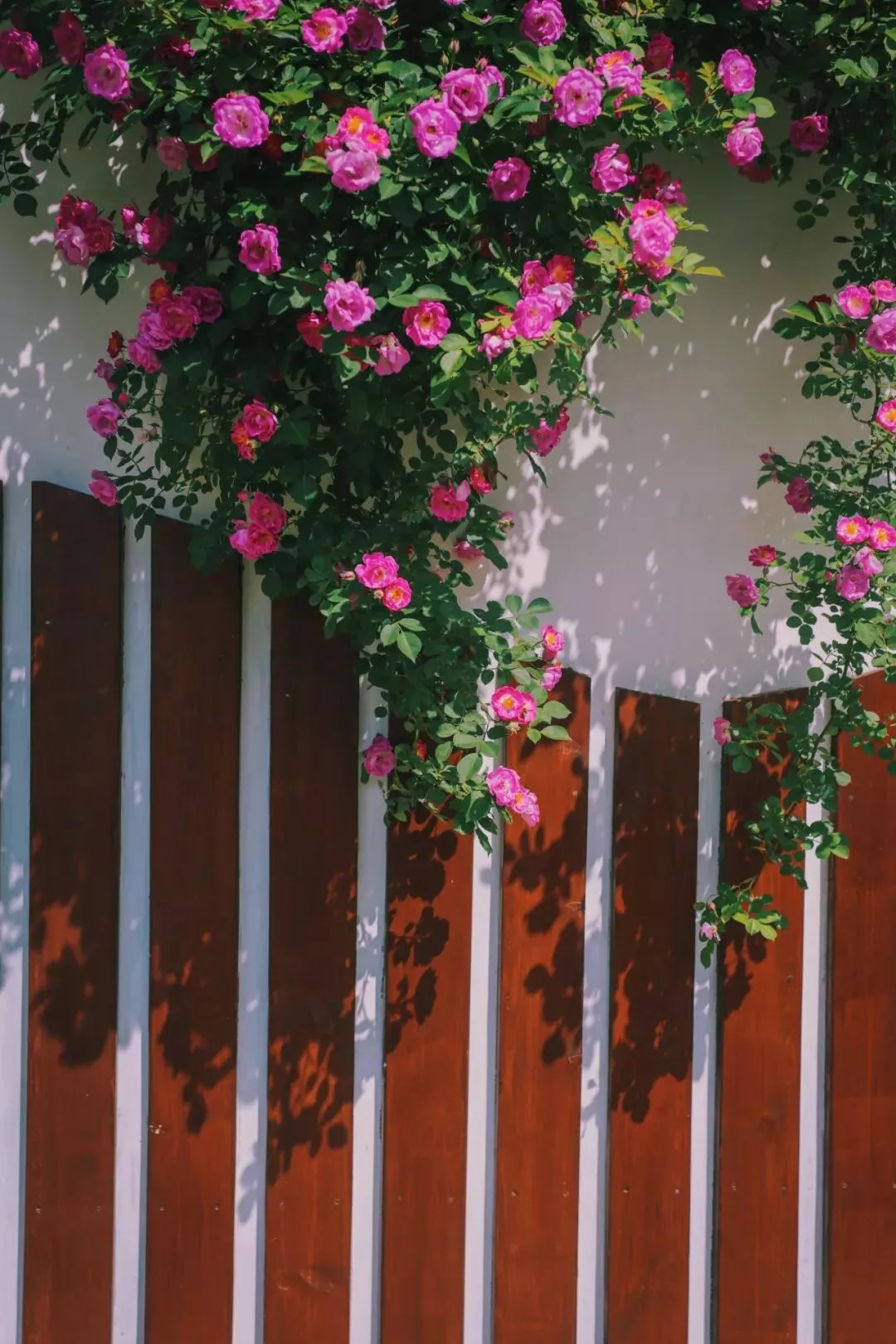 原来你是这样的海军陆战队,原来你是这样的英文