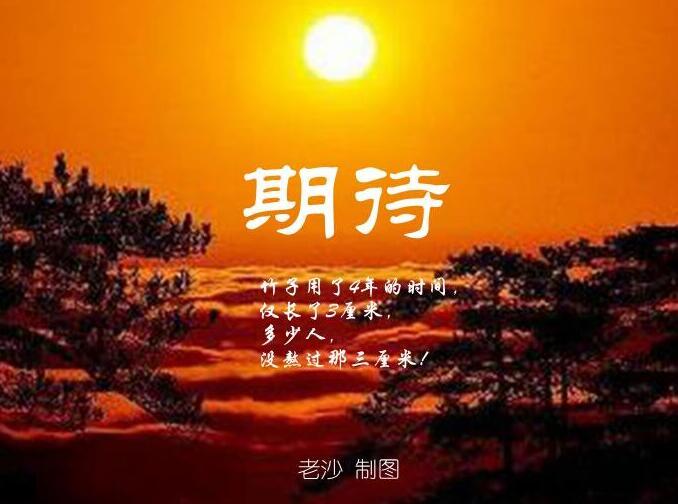 飞龙在天九五之尊什么意思,股市重要资讯及盘前策略