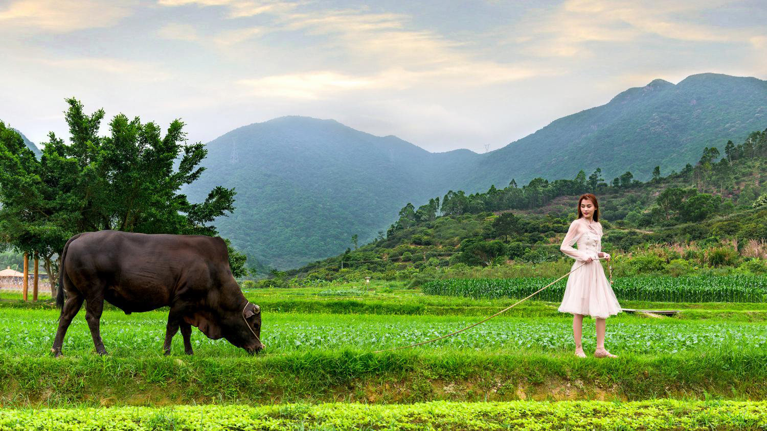 深圳碧桂园新项目,碧桂园田园里东区