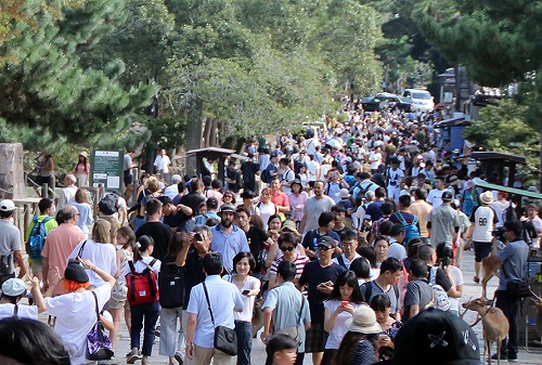 外国人可以在日本工作吗,外国人在日本一般从事什么工作