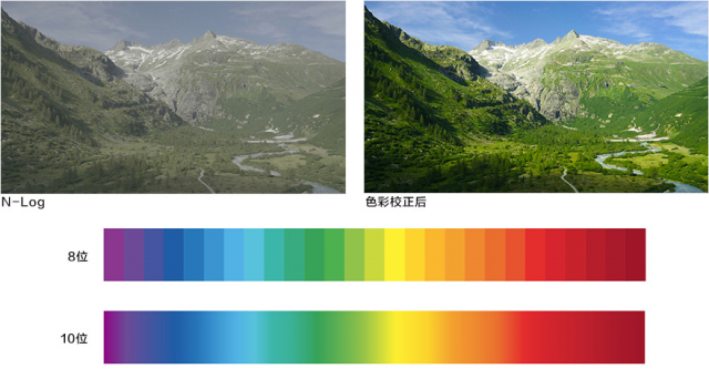 尼康z7腾龙150-500镜头评测,尼康z7ii画质评测