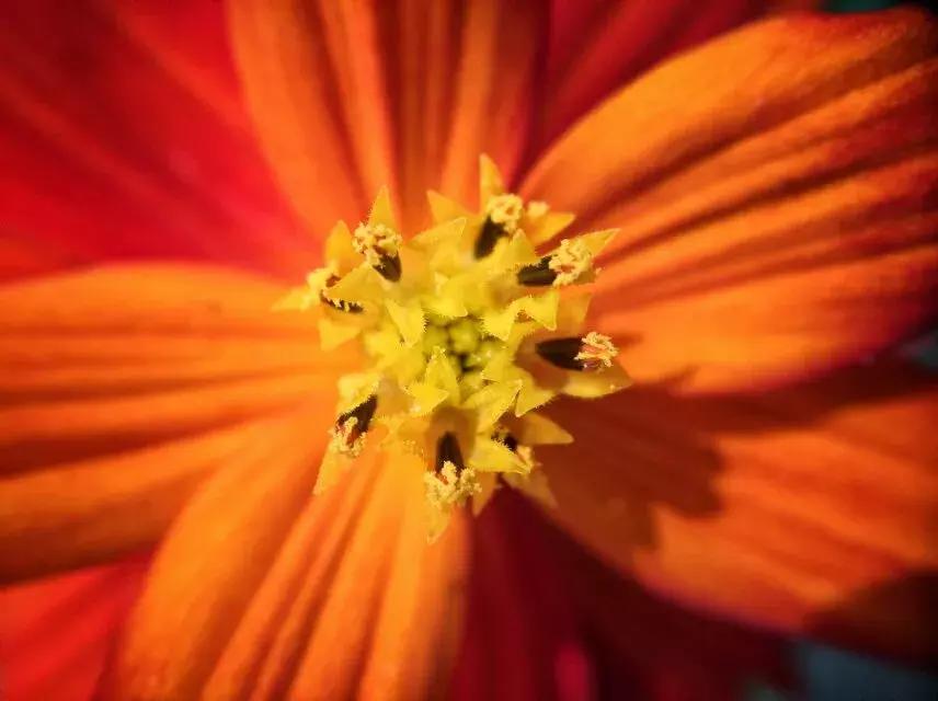 摄影色彩的处理的基本规则,摄影光线和颜色