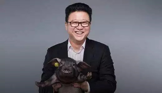 丁磊为什么是养猪大佬,丁磊的养猪模式