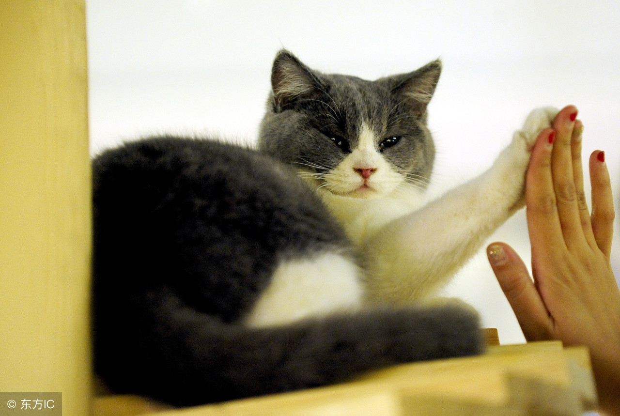 存钱不是钱的事情,存钱不是为了花钱吗