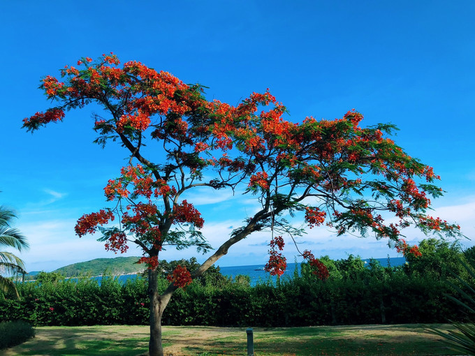 三亚旅游攻略自由行美食推荐,三亚旅游攻略自由行美食