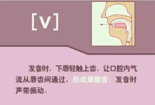 英语48个音标发音详细教程,英语48个音标的正确发音和技巧
