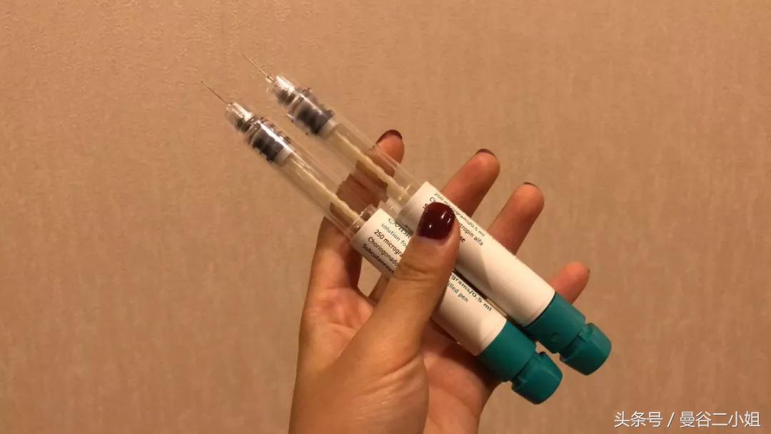 泰国冷冻卵子,泰国冻卵子