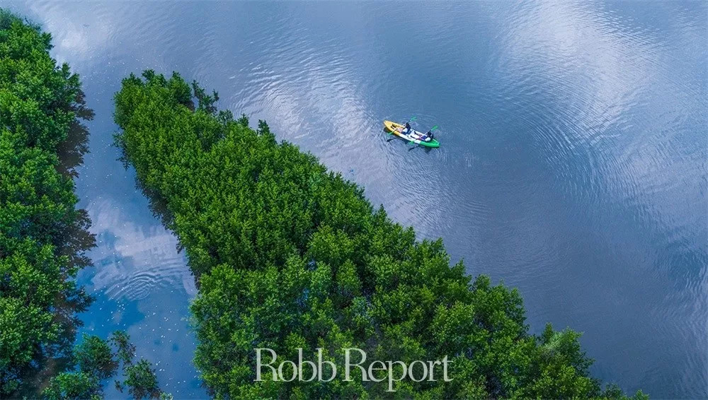 带你看世界的酒店,东方甄选看世界酒店