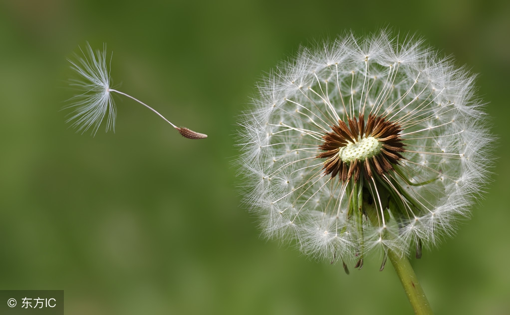 三年级语文课外阅读练习题及答案,三年级学生课外阅读上存在的问题