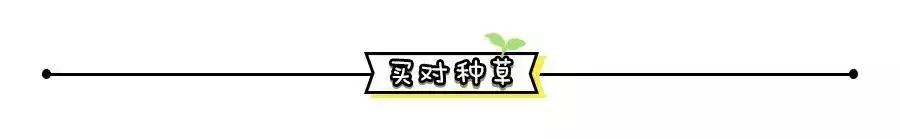 ysl必须有的口红,ysl跟阿玛尼烂番茄色口红推荐