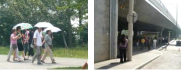 「交通看点」建设“完整林荫道”——步行和自行车交通环境设计建设图集亮点介绍（一）