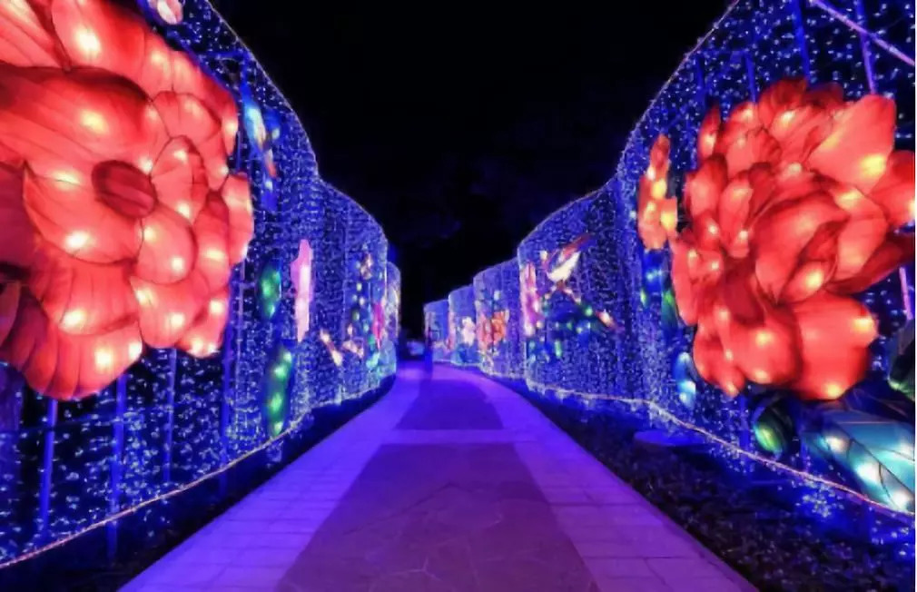 梦幻灯光节民权,建业灯光节