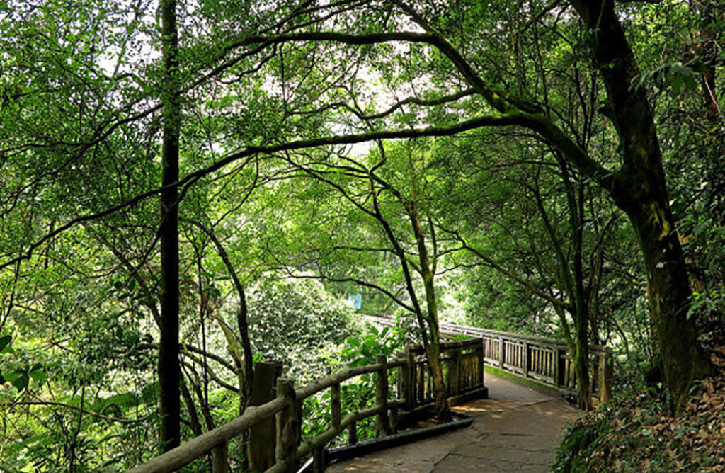 广东肇庆鼎湖山之旅,肇庆鼎湖山风景区攻略