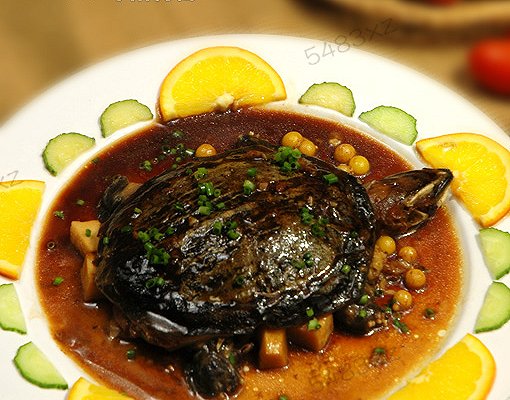 甲鱼最常见的几种做法,冬季甲鱼跟什么做才好