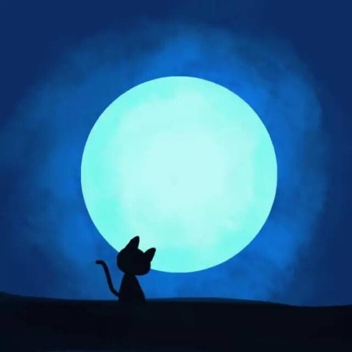 卡通情侣头像呆萌小可爱,可爱情侣头像卡通呆萌最新