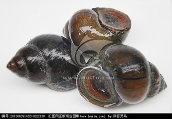 小龙虾幼苗喂豆浆多久喂一次,鱼缸养小龙虾喂什么东西