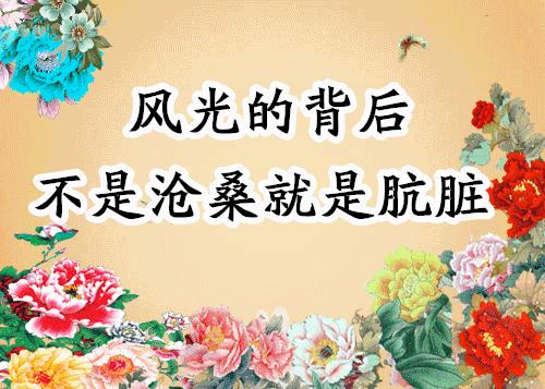 会动的照片大全,会动的11张图片