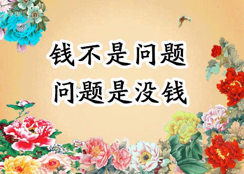 会动的照片大全,会动的11张图片