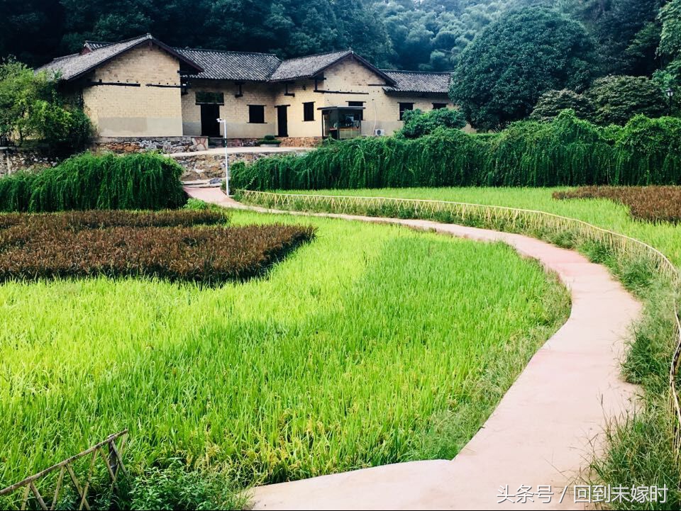 韶山升起太阳,韶山红旗升起的地方