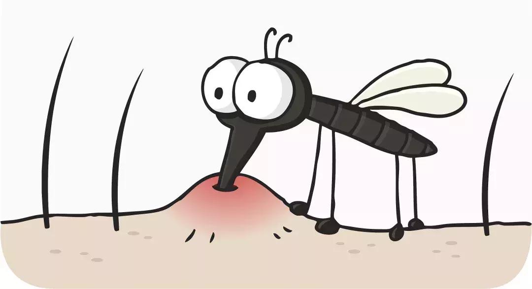 为什么秋天的蚊子咬人最厉害,被秋天的蚊子咬了