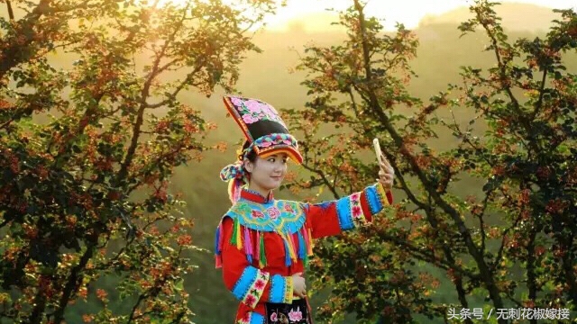 花椒35一斤便宜吗 (花椒150块一公斤)