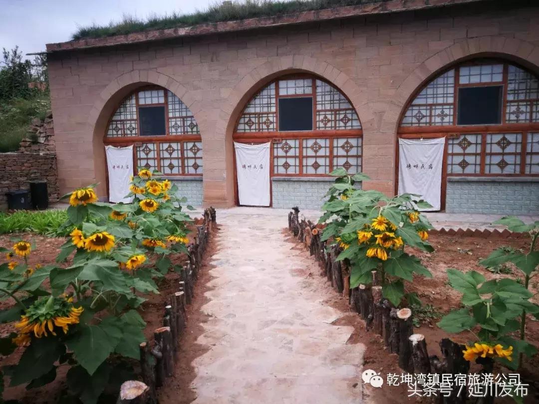 九月的碾畔民宿，红枣与你邂逅