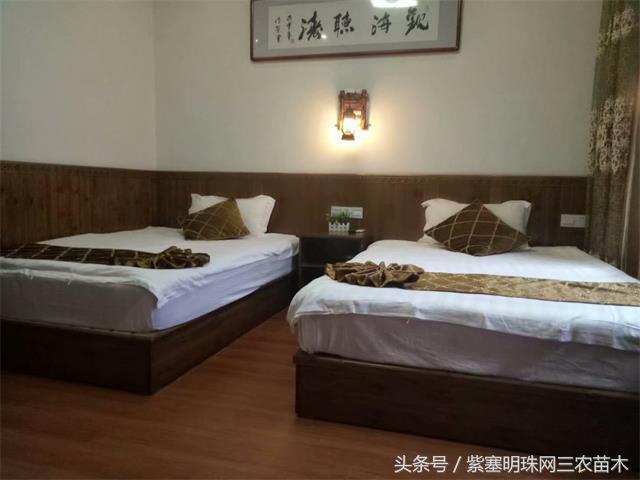 黄山旅游攻略黟县民宿景点,黄山宏村千岛湖西塘旅游攻略