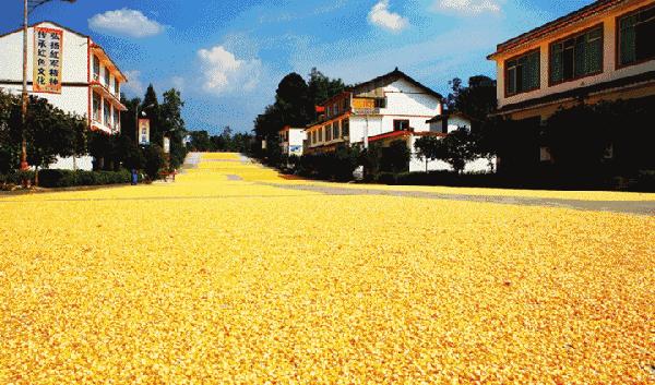 统统免费！十一前最全新规正式播报！影响9559万河南人