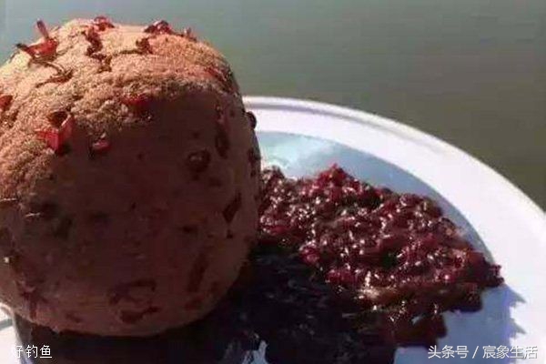 钓鱼用不完的红虫怎样养,红虫钓鱼需要注意什么