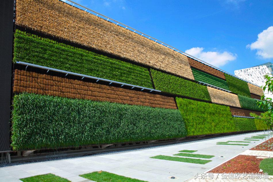 室内植物装饰墙图片,陕西户外植物墙装饰