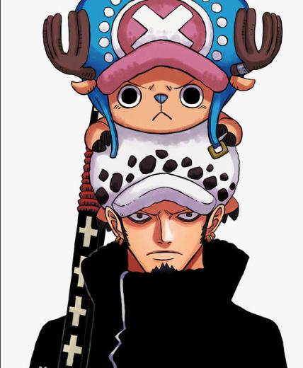 海贼王和之国篇反派,海贼王和之国总结