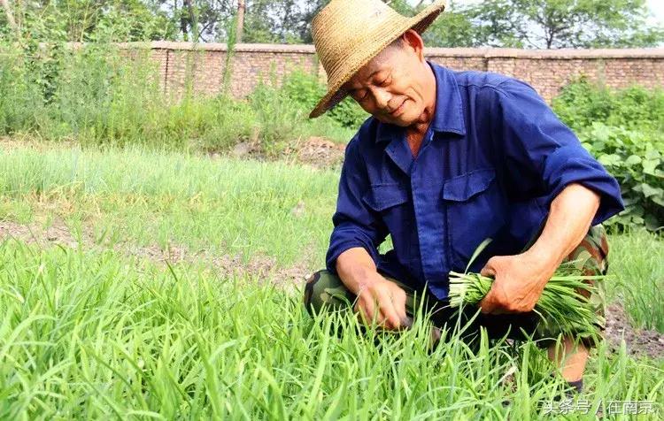 娃娃机抓不着怎么回事,娃娃机为啥抓不起来