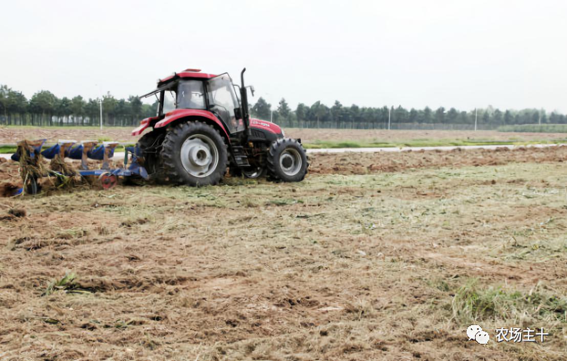 成为农业大户的条件,中国农场主的要求