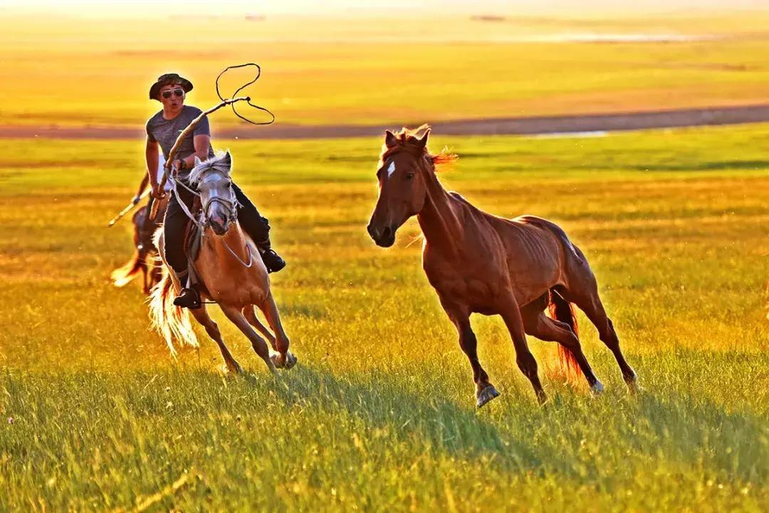 生活很苦不如出来走走,生活很苦想出去走走