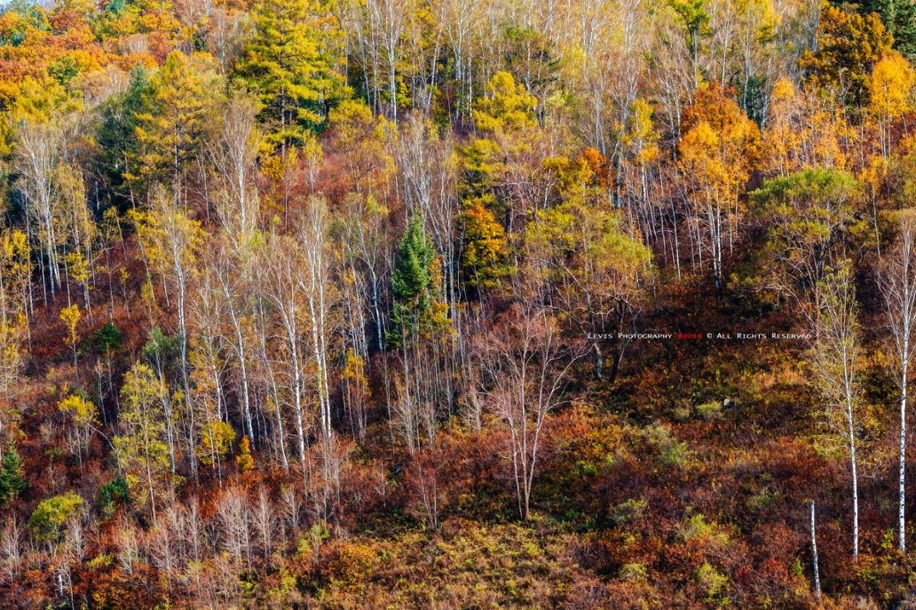 这些绝美小黄片,已经陆续在全国上线,找个时间去扫黄吧