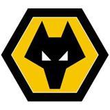 聊聊足球各联赛,英超球队卢顿粤语译名