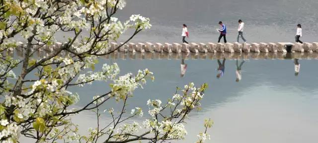 不花一分钱去旅游,江浙三日游旅游最佳景点推荐