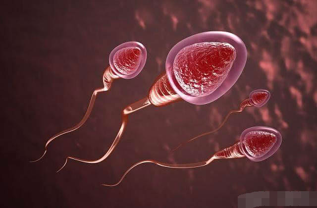 男性的生育能力有多脆弱,男人的生育能力从几岁开始