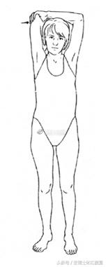 最全产后恢复体育动作,产后修复的健身动作