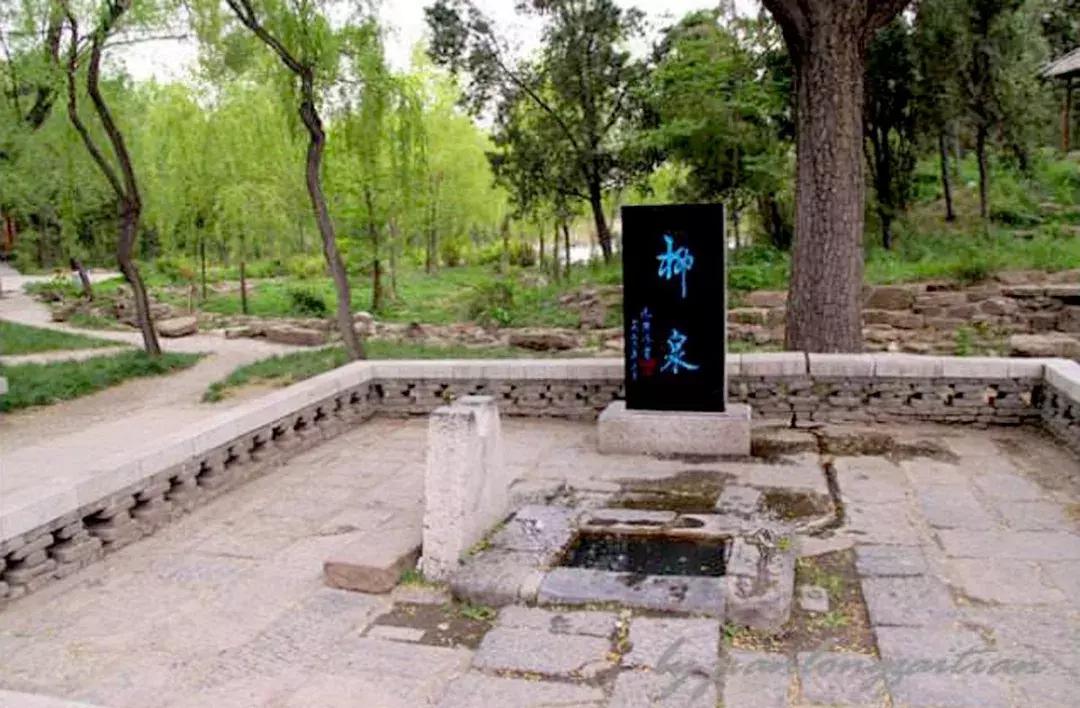 中国古代茶文化作品,中国茶文化经典